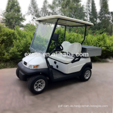 2 Sitze elektrische Golfwagen Preise elektrische billige Golfwagen zum Verkauf China Mini Buggy